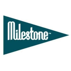Baby Milestone Cards - Original - Image 4