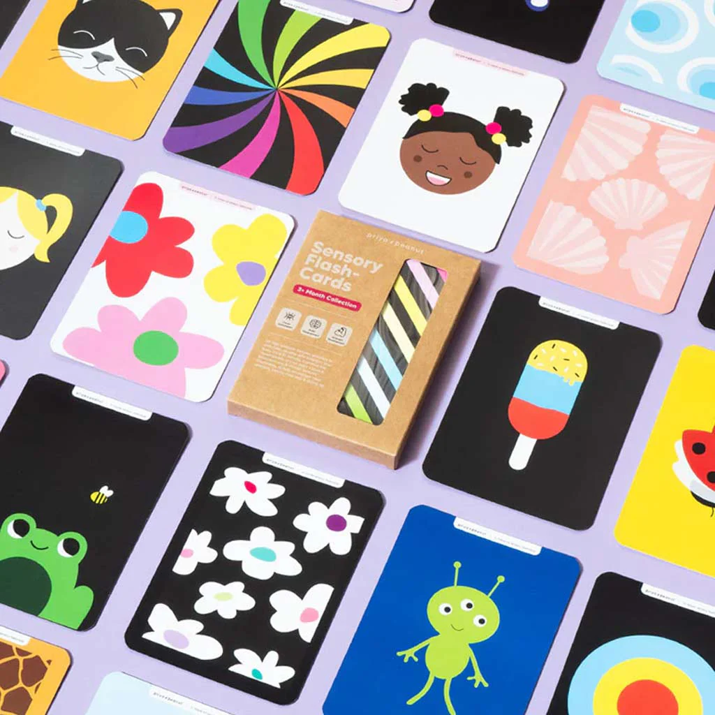 Priya & Peanut Colour Sensory Flash Cards - Image 2