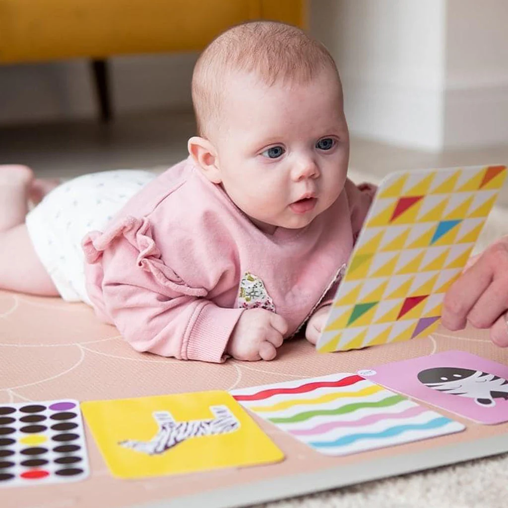 Priya & Peanut Colour Sensory Flash Cards - Image 3
