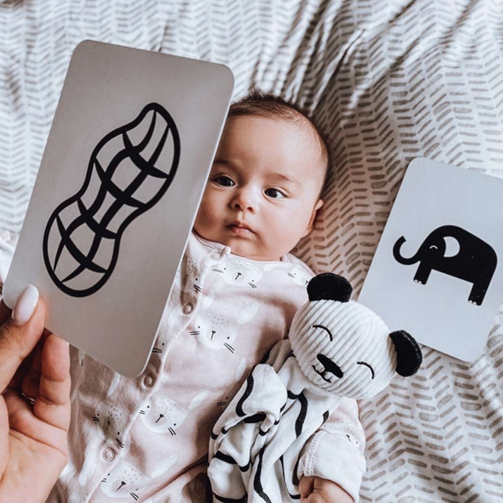 Priya & Peanut Newborn Monochrome Sensory Cards - Image 3
