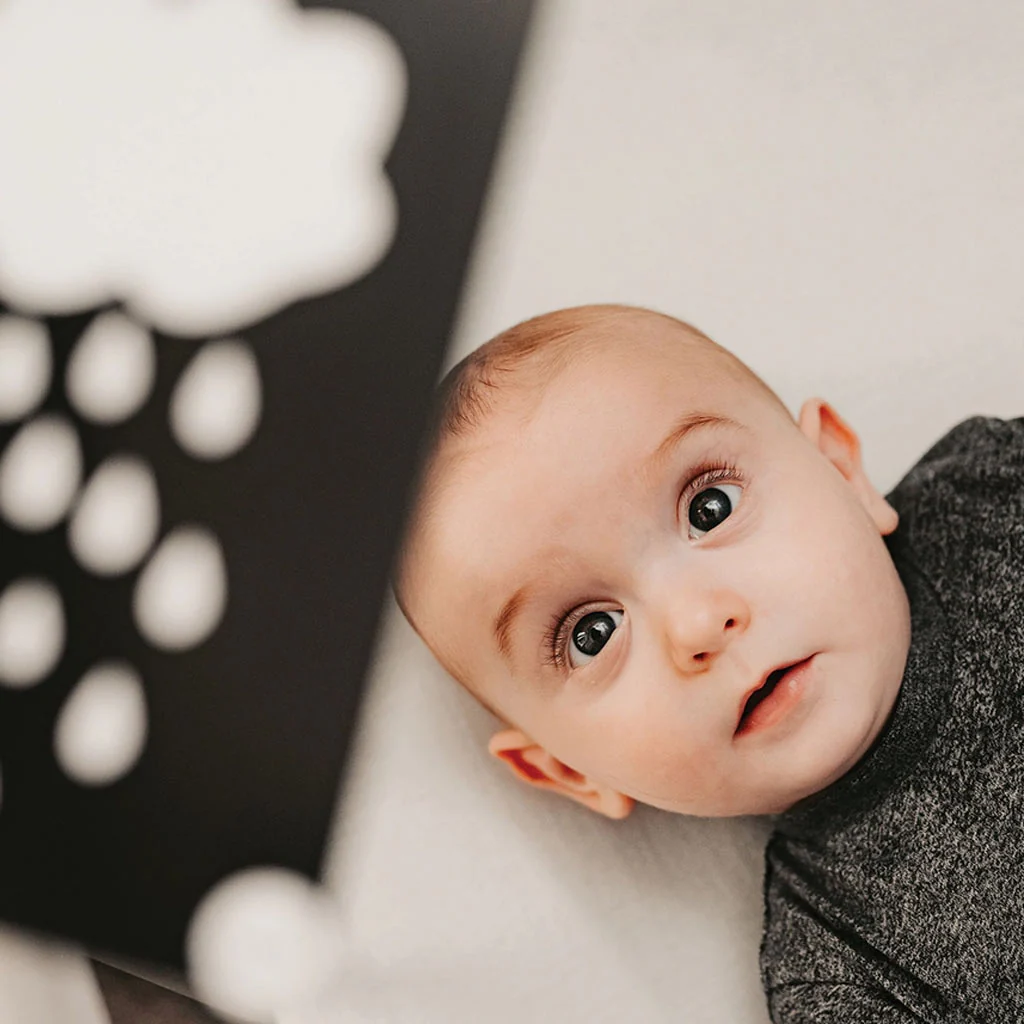 Priya & Peanut Newborn Monochrome Sensory Cards - Image 4