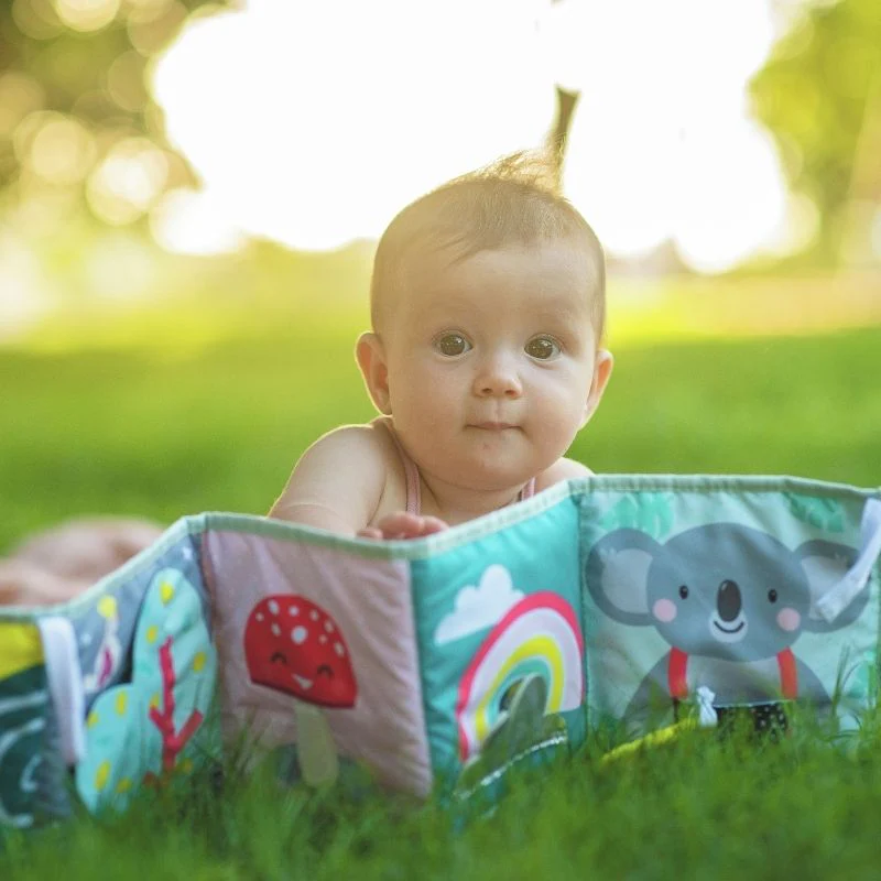 Taf Toys Koala Clip On Pram Book - Image 2