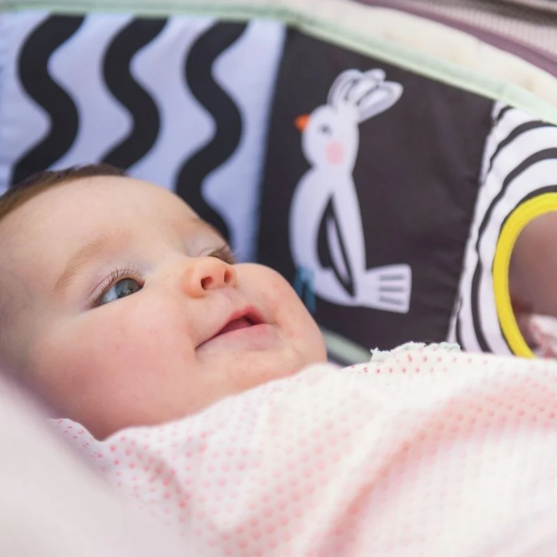Taf Toys Koala Clip On Pram Book - Image 4